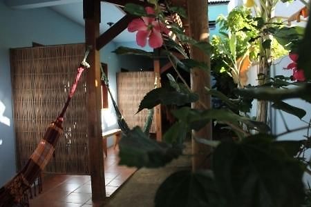 Pousada Itaoca Itacaré Exteriér fotografie
